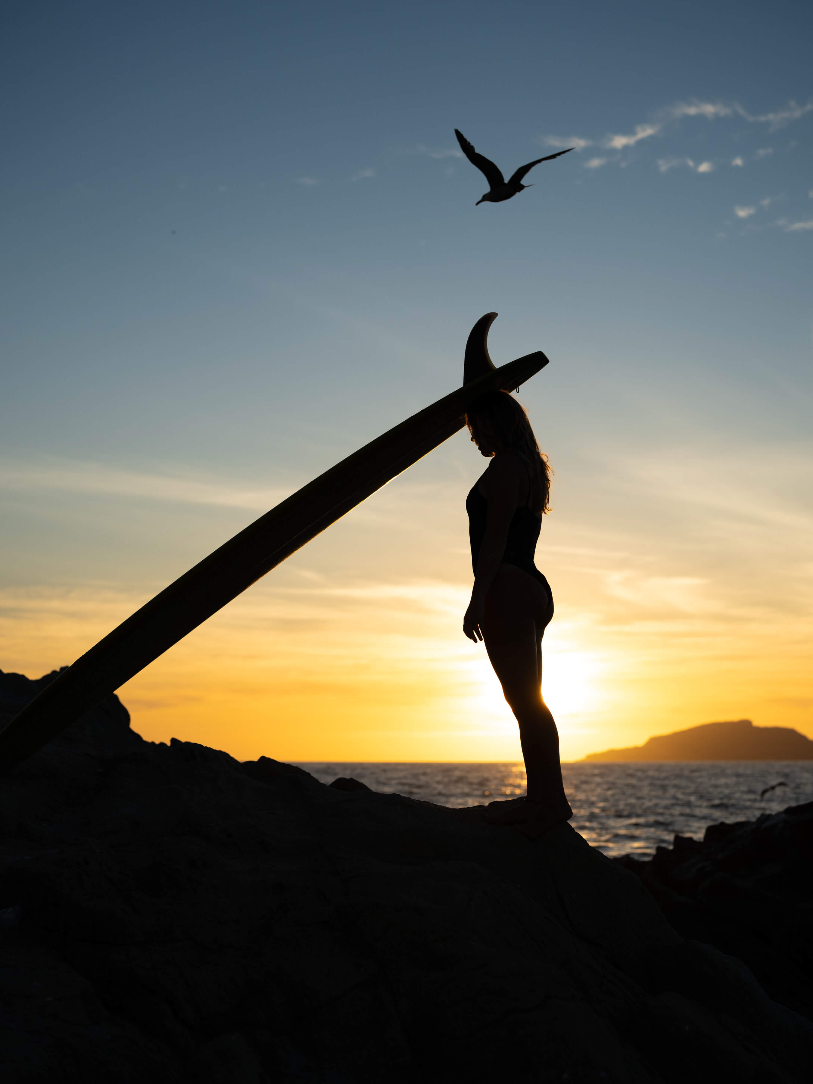  silhouette of woman holding surfboard on rocks with seagull silhouette and a sunset background